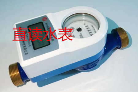 甯波生(sheng)産直讀(du)水表的(de)廠家有(yǒu)哪些?