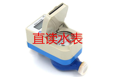 甯波(bo)生産直(zhi)讀水表(biǎo)的廠家(jiā)有哪些(xiē)?